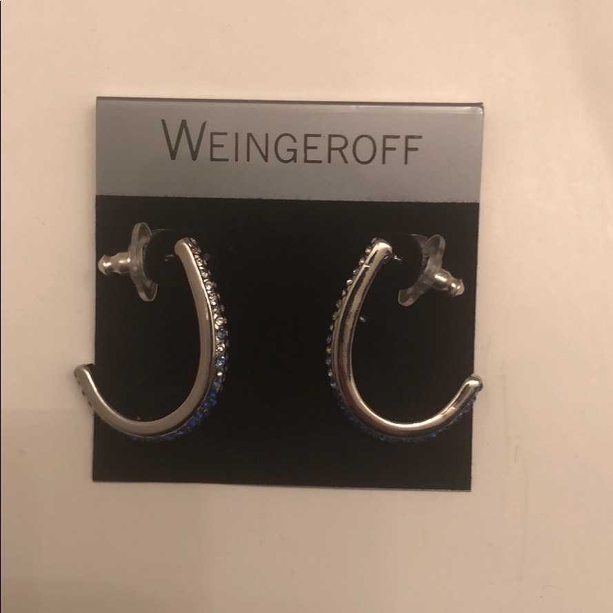 Host Pick! New Blue Silver Ombr Loop Earring